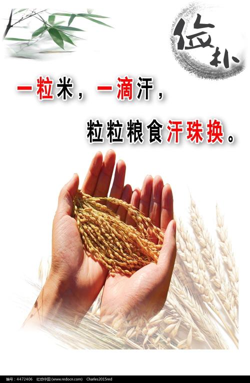 普福尔茨海姆应用技术大学学士成绩单